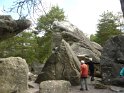 2014-06-05 10-34-22 Foret de Fontainebleau FGn